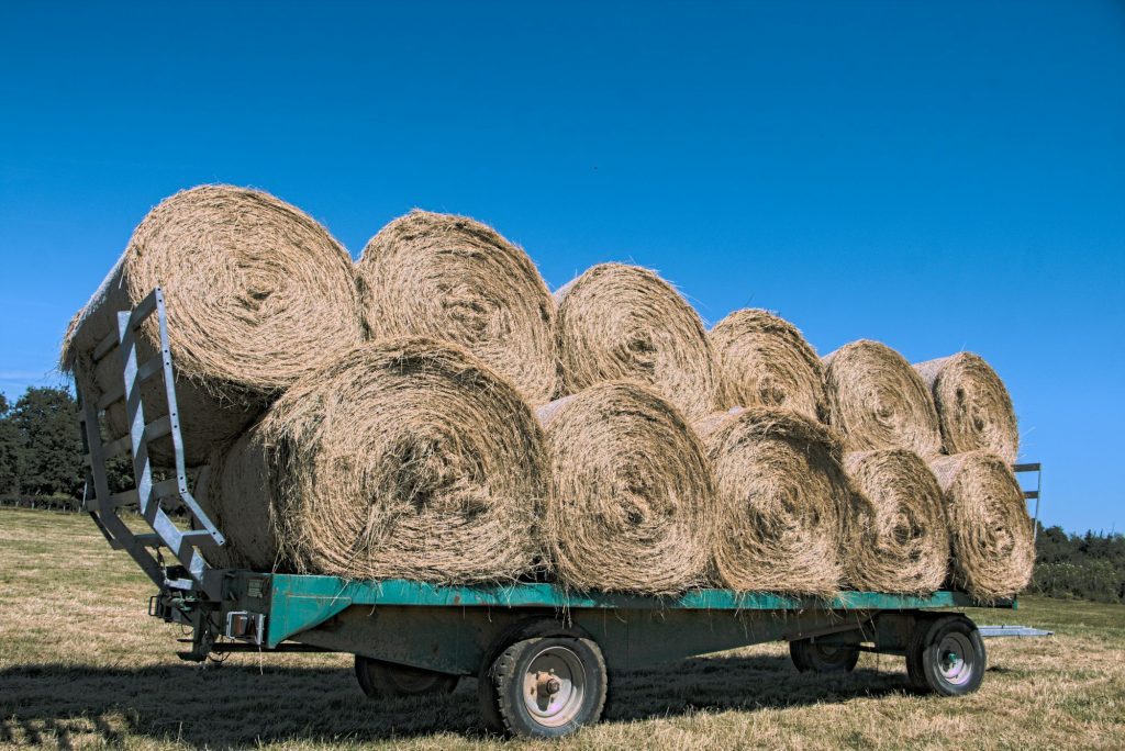 Leasing van gespecialiseerde aanhangwagens: koeltrailers, kippers en meer